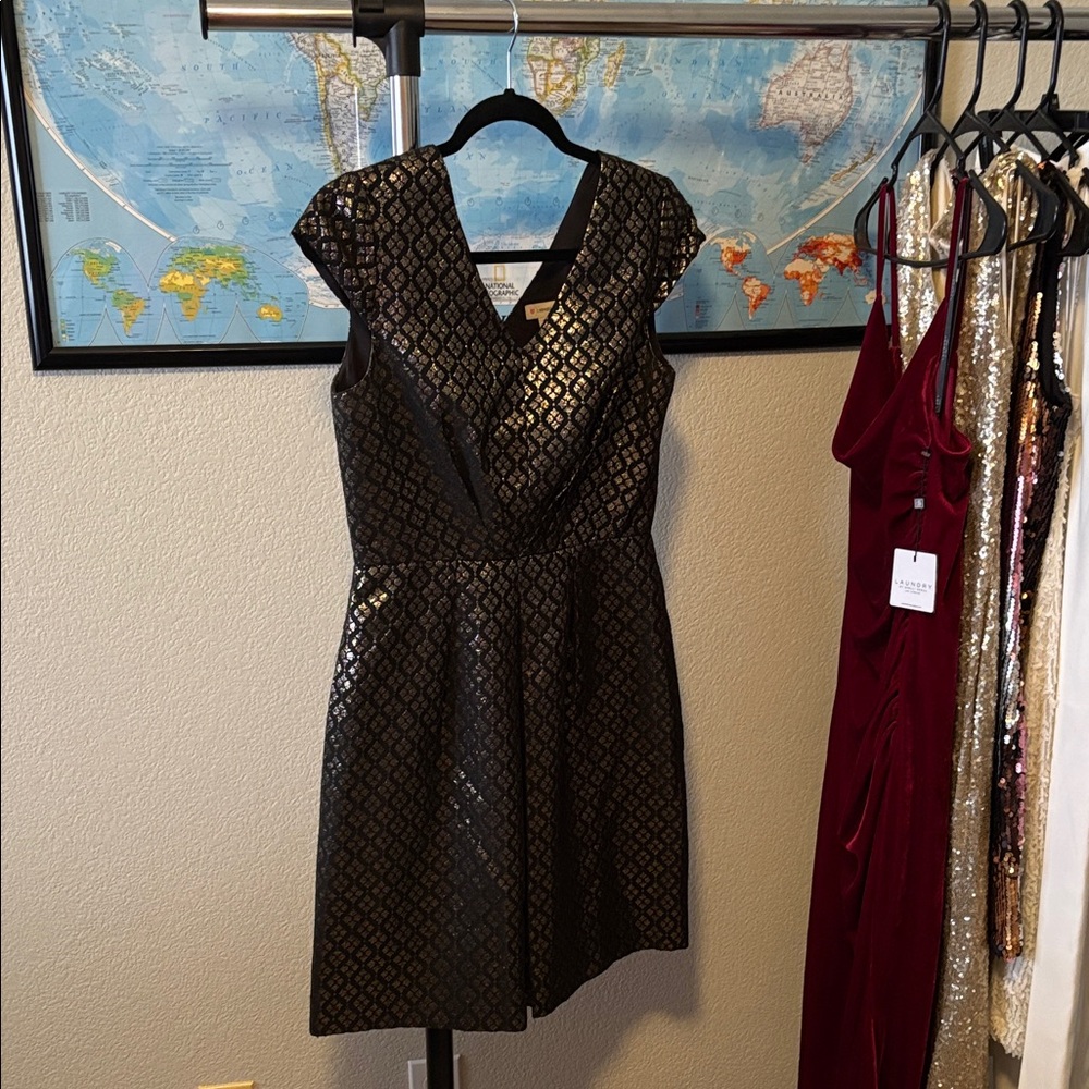 Daniel Cremieux Black and Silver Mini Dress